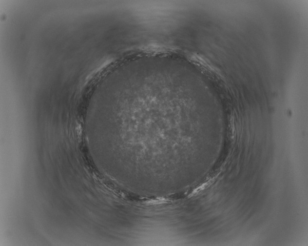 X0000076081302200610061606