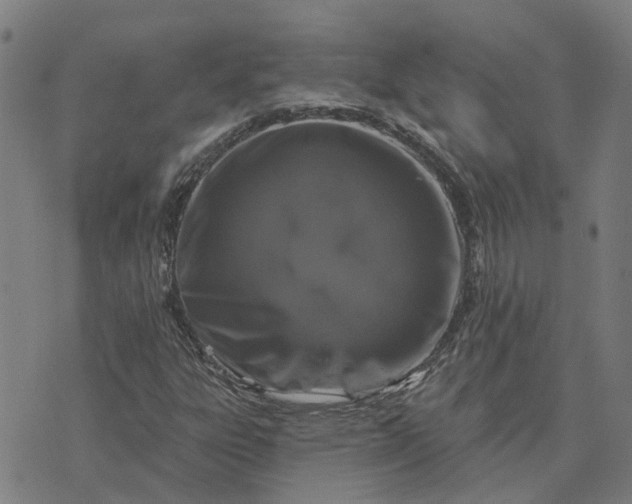 X0000076081303200610061606