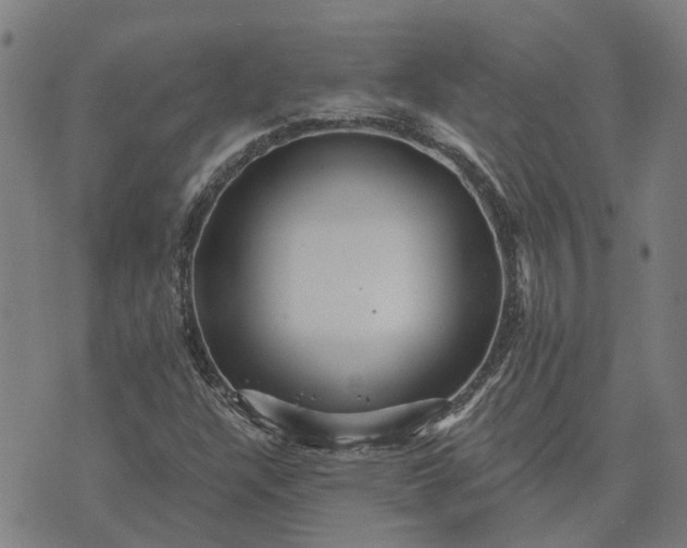 X0000076081304200610061606