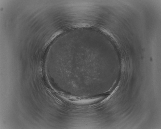 X0000076081305200610061606