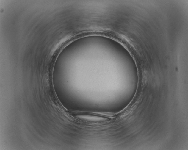 X0000076081307200610061606