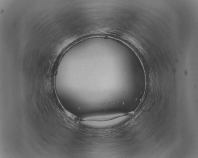 X0000076081308200610061606