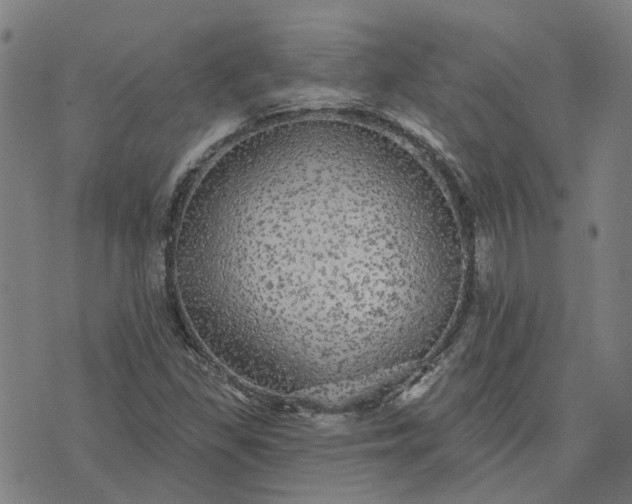 X0000076081309200610061606