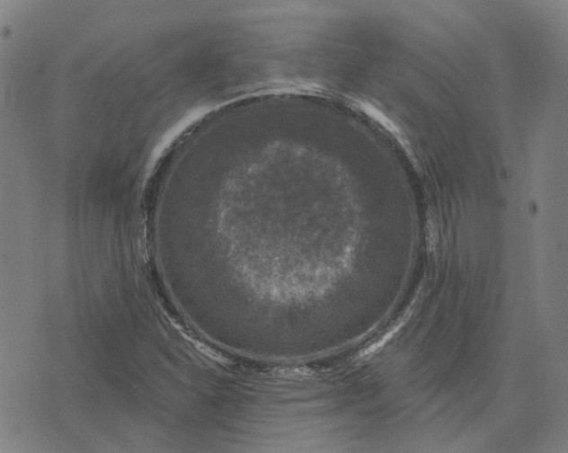 X0000076081310200610061606