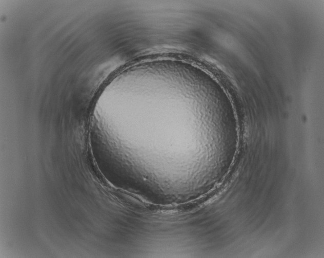 X0000076081313200610061606