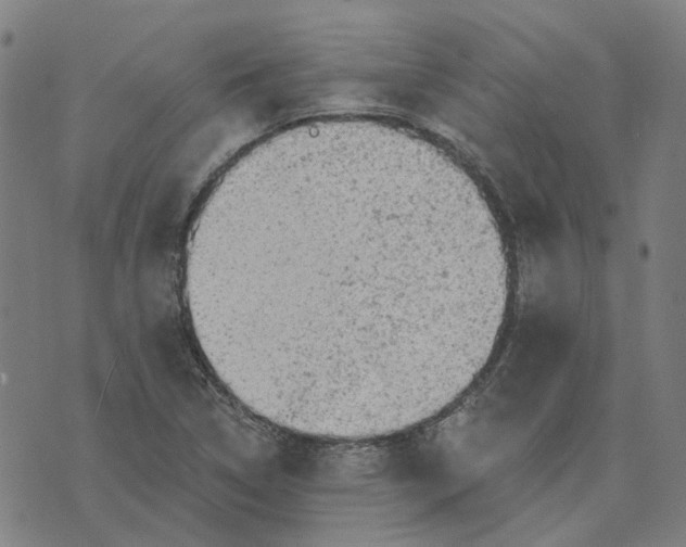 X0000076081314200610061606