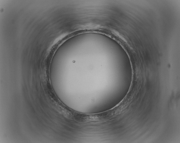 X0000076081315200610061606