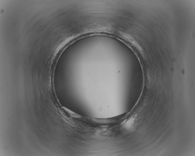 X0000076081316200610061606