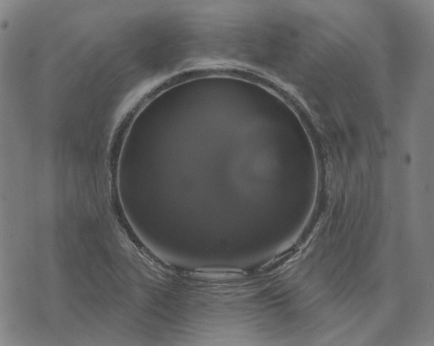 X0000076081319200610061606