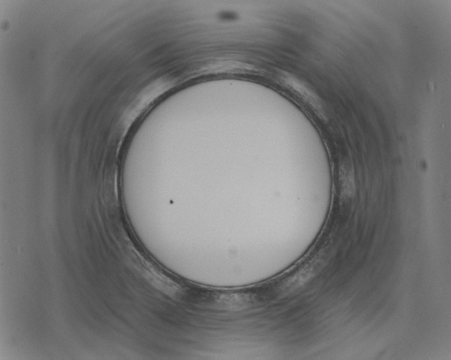 X0000076081322200610061606