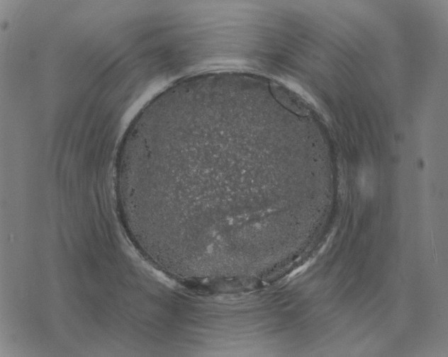 X0000076081325200610061606