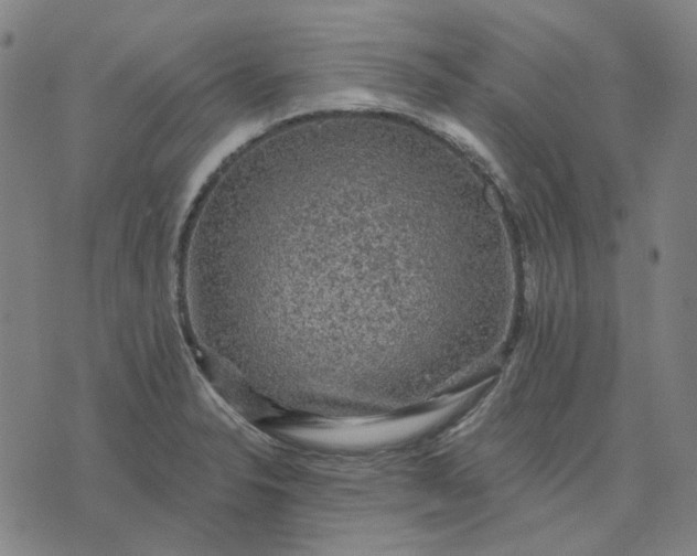 X0000076081326200610061606