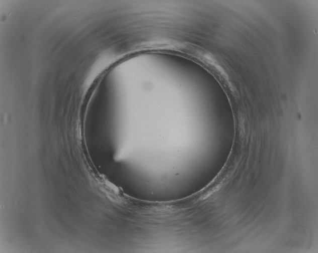 X0000076081328200610061606