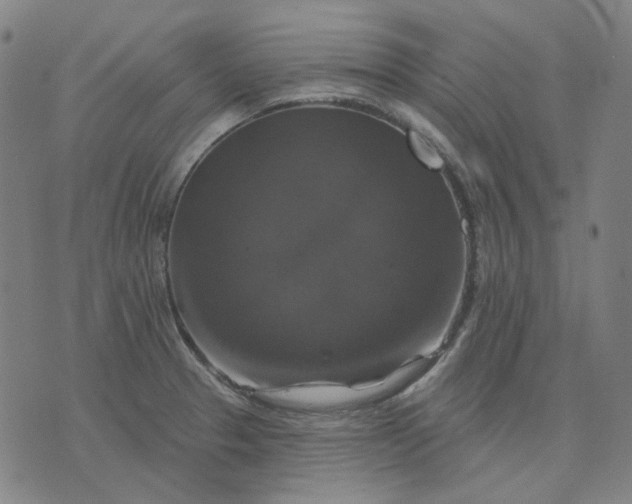 X0000076081329200610061606