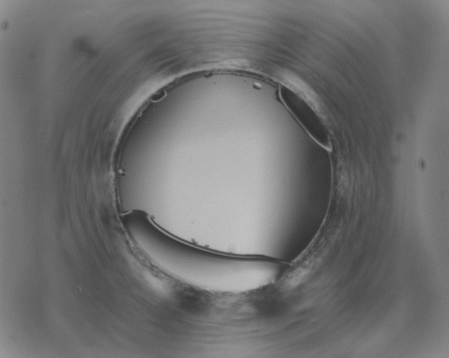 X0000076081332200610061606