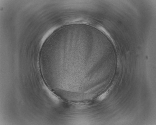 X0000076081336200610061606