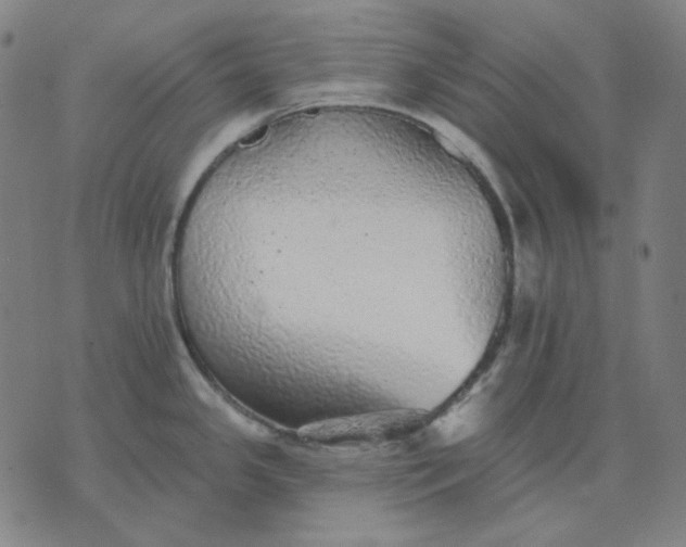 X0000076081341200610061606