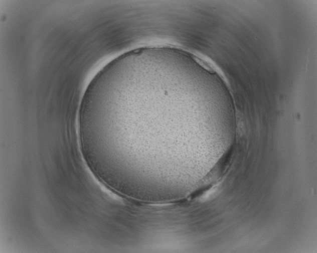 X0000076081343200610061606