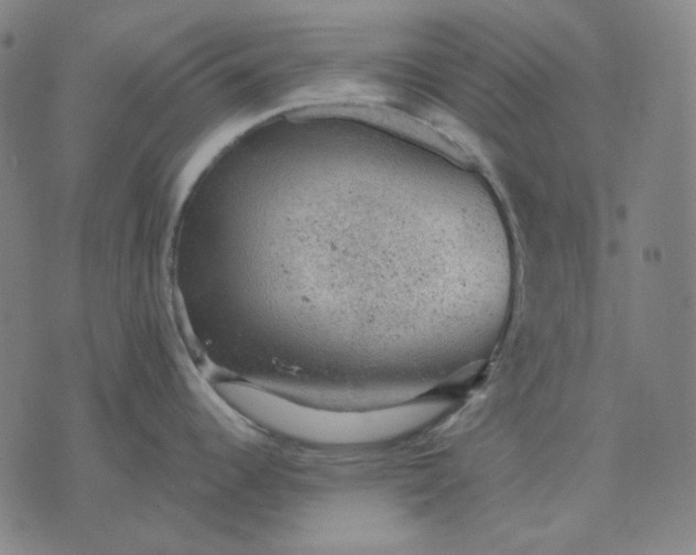 X0000076081344200610061606