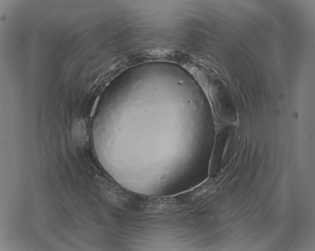 X0000076081347200610061606