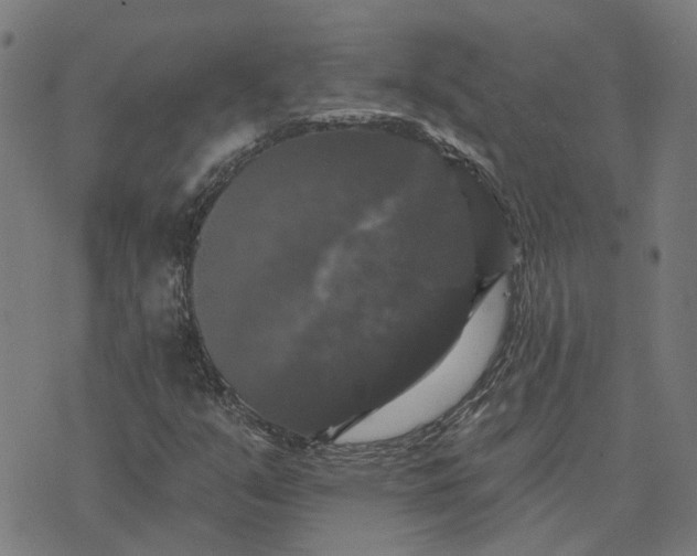 X0000076081351200610061605