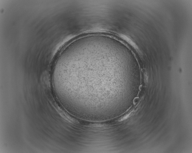 X0000076081356200610061605