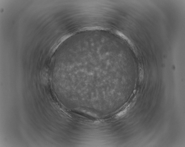 X0000076081361200610061605