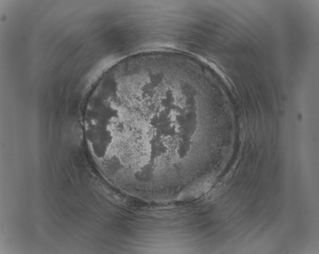 X0000076081363200610061605