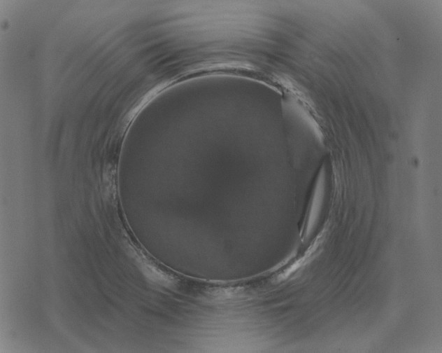 X0000076081369200610061605