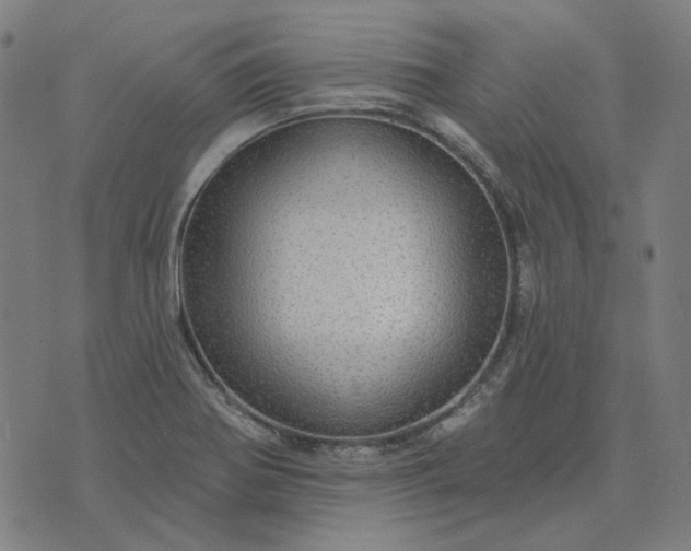 X0000076081370200610061605