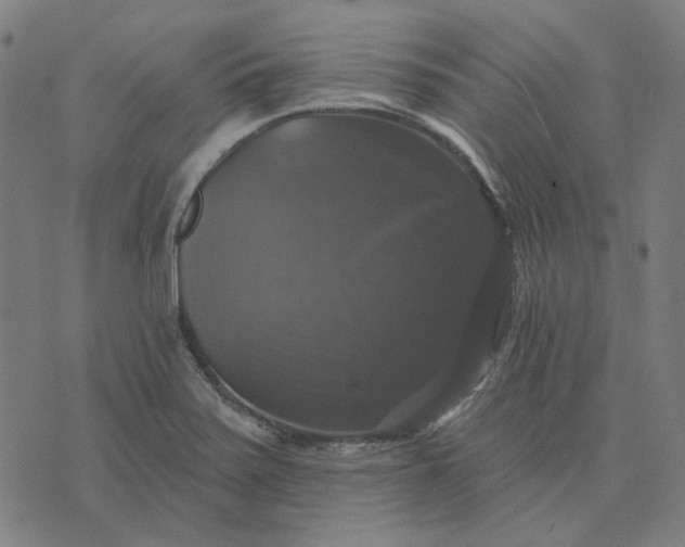 X0000076081371200610061605