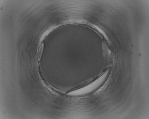 X0000076081373200610061605