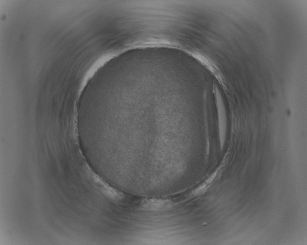 X0000076081374200610061605