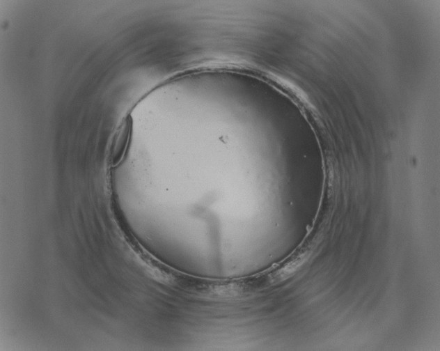 X0000076081375200610061605