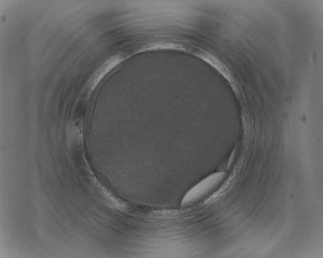 X0000076081377200610061605