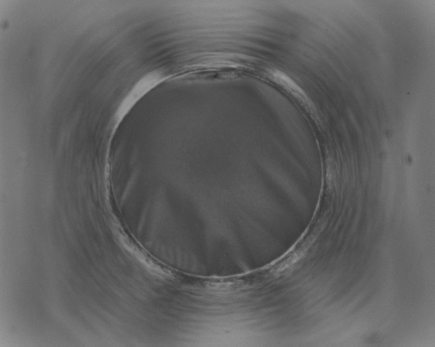 X0000076081378200610061605