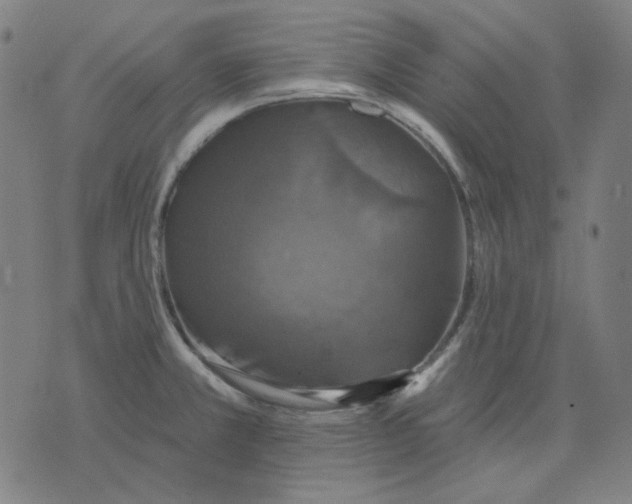 X0000076081381200610061605