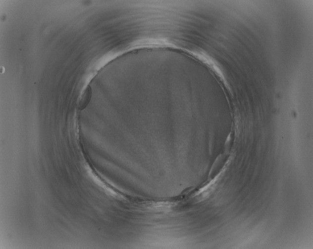 X0000076081382200610061605