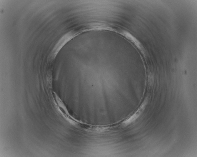 X0000076081385200610061605