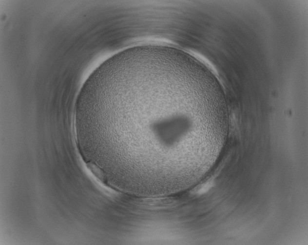 X0000076081391200610061605