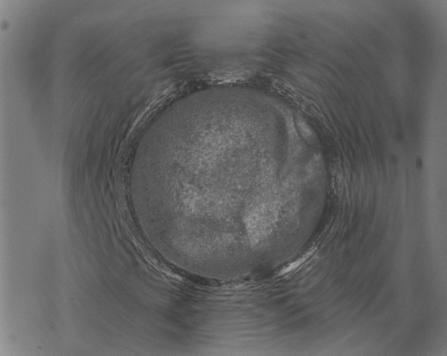 X0000076081393200610061604