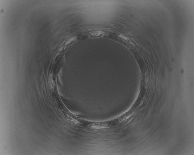 X0000076081394200610061604