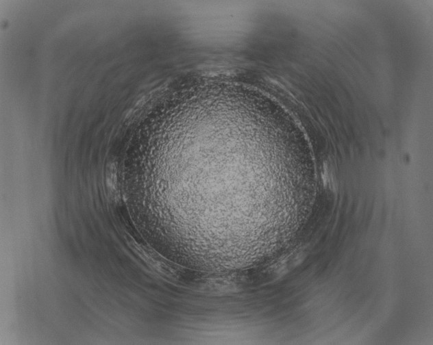 X0000076081396200610061604