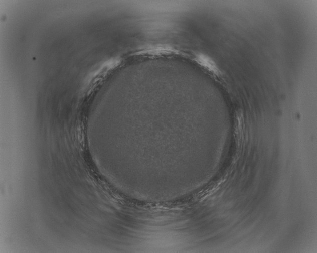 X0000076081398200610061604