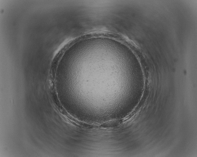 X0000076081400200610061604