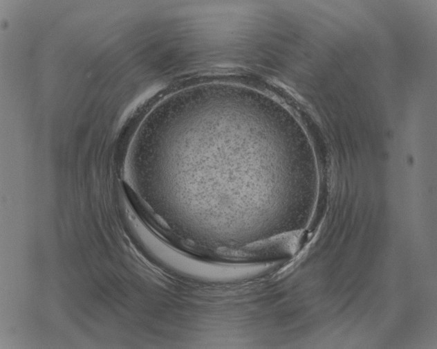 X0000076081402200610061604