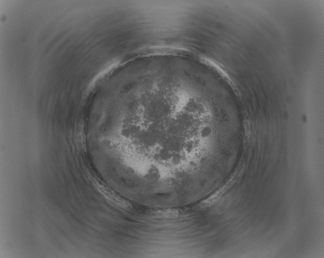 X0000076081403200610061604