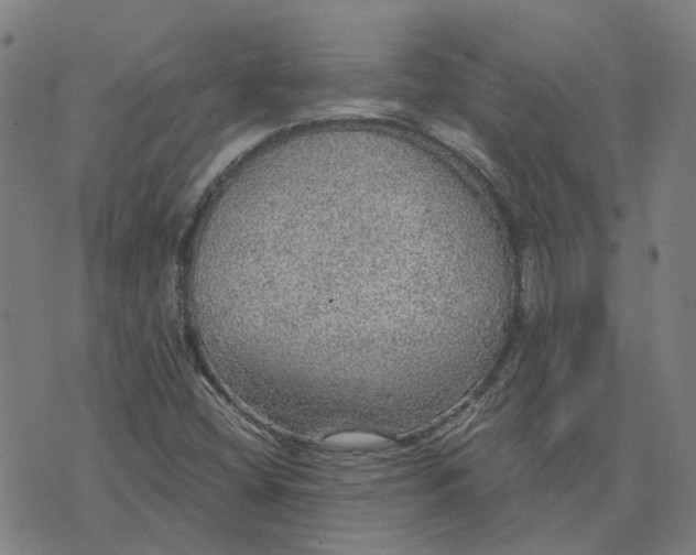 X0000076081404200610061604