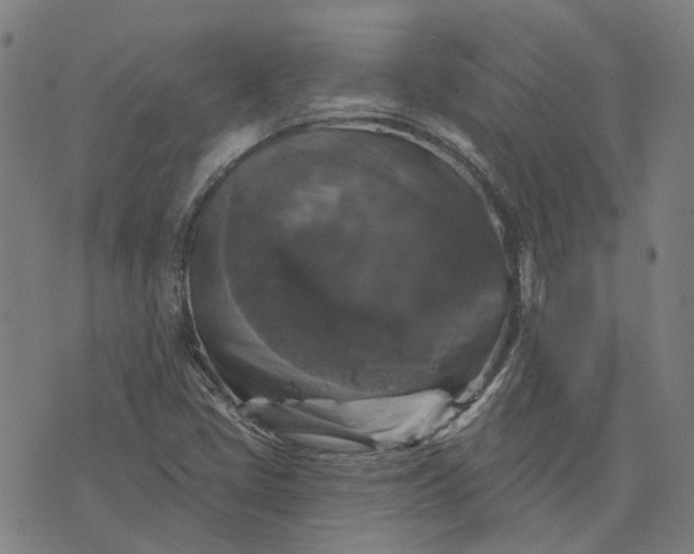 X0000076081405200610061604