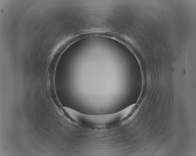 X0000076081406200610061604